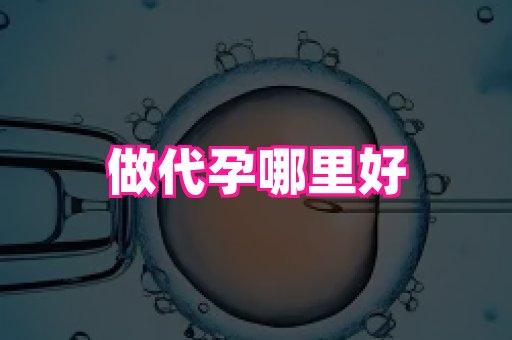 杭州助孕网 1
