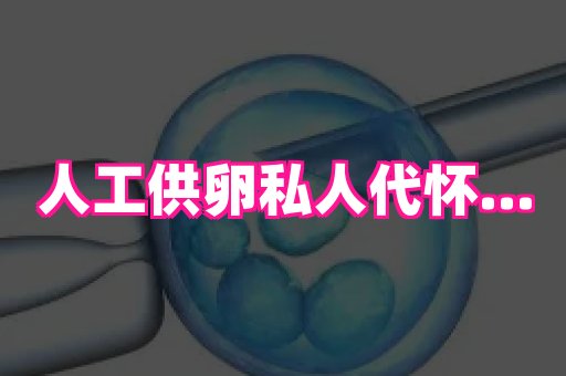 杭州助孕网 3