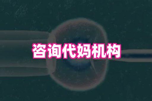 杭州助孕网 4